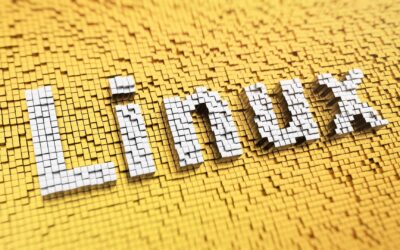 Introduction à Linux : Pourquoi choisir cet OS ?
